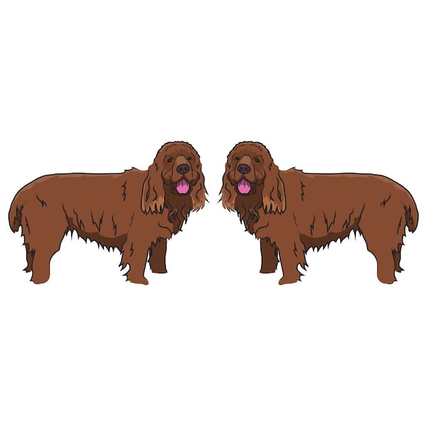 Signmission Sussex Spaniel Dog Decal, Dog Lover Decor Vinyl Sticker D-24-Sussex Spaniel - main